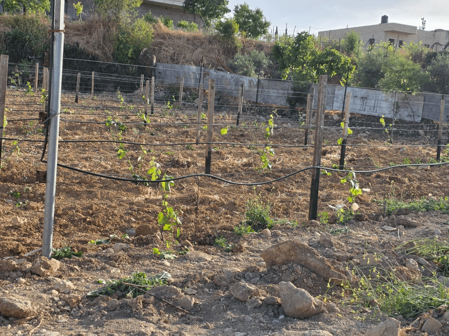 لماذا يهم التنمية بقيادة المجتمع