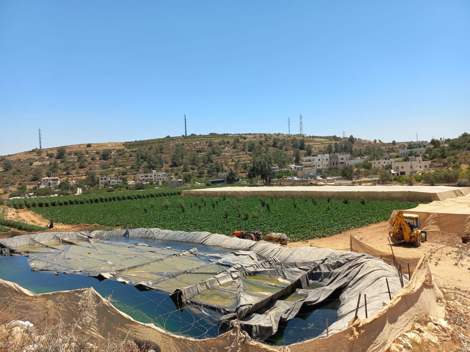 بركة زراعية في بيت أمر