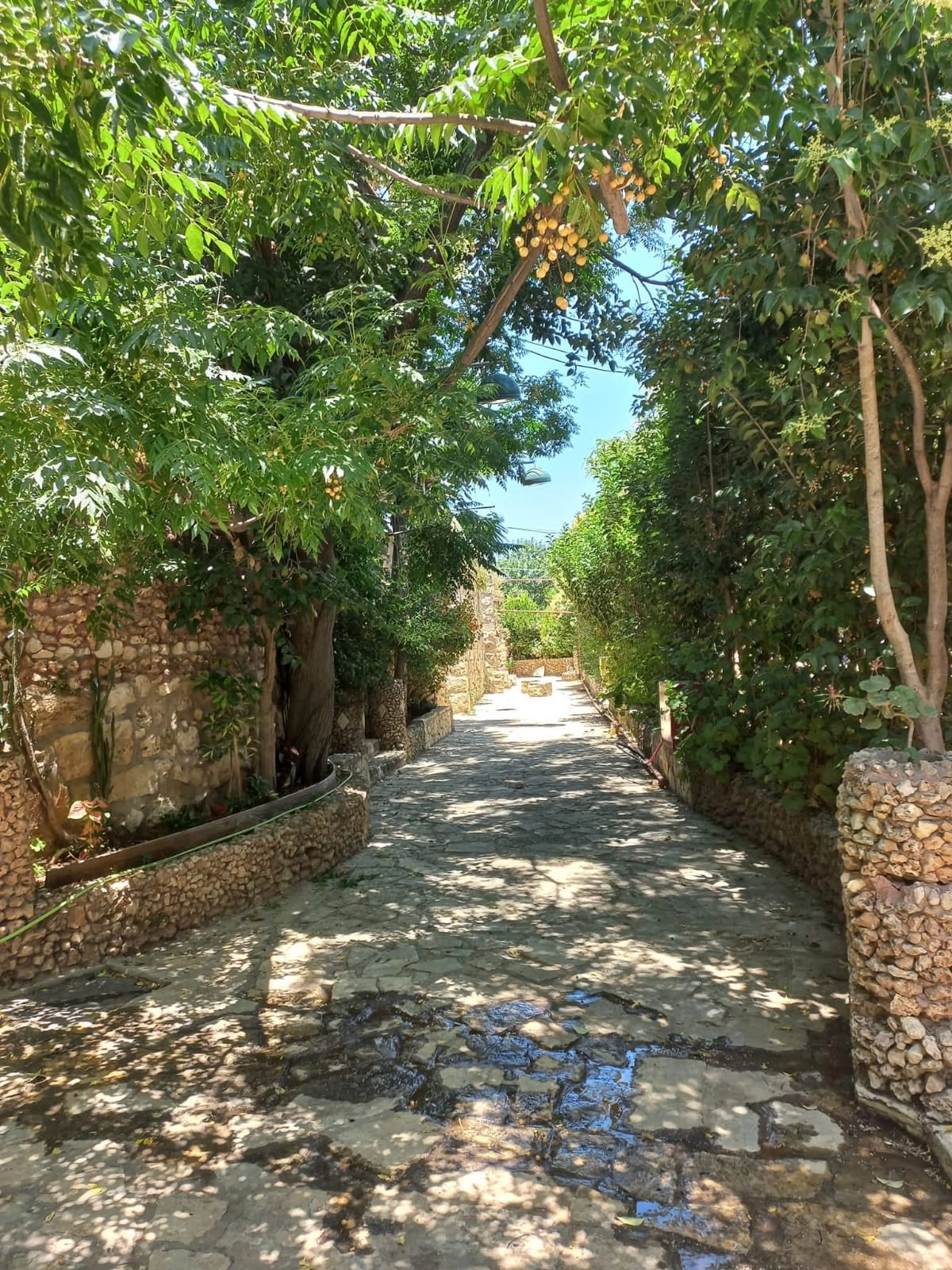 حديقة بيت أمر