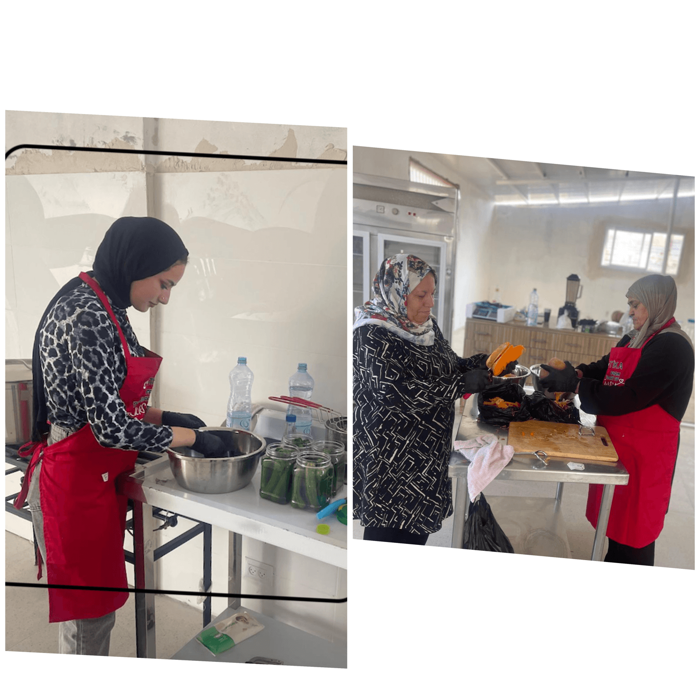 Whispers of the Harvest: How the Women of Beit Ummar are Rewriting Their Future